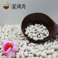 Chinese White Kidney Beans for eat